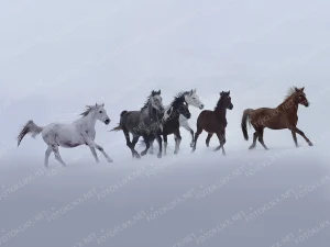 Winter gallop