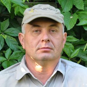 Gergely József