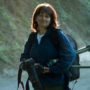 Nagy Katalin