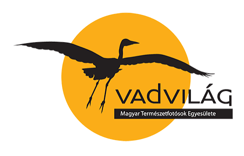 Vadvilág Magyar Természetfotósok Egyesülete