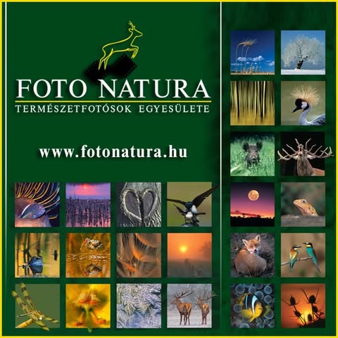 FotóNatura Természetfotósok Egyesülete